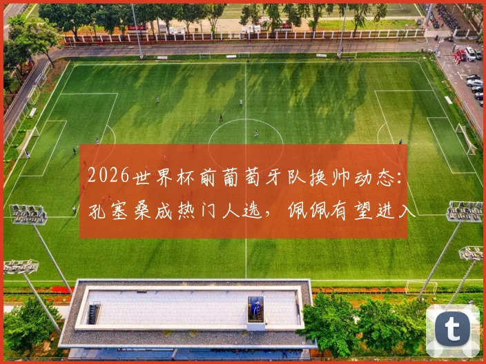 2026世界杯前葡萄牙队换帅动态：孔塞桑成热门人选，佩佩有望进入教练组助阵